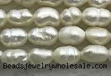 FWP151 14.5 inches 2.5mm rice white freshwater pearl strands