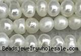 FWP16 14.5 inches 3.2mm - 3.7mm potato white freshwater pearl strands