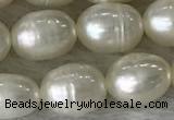 FWP185 15 inches 6mm - 7mm rice white freshwater pearl strands