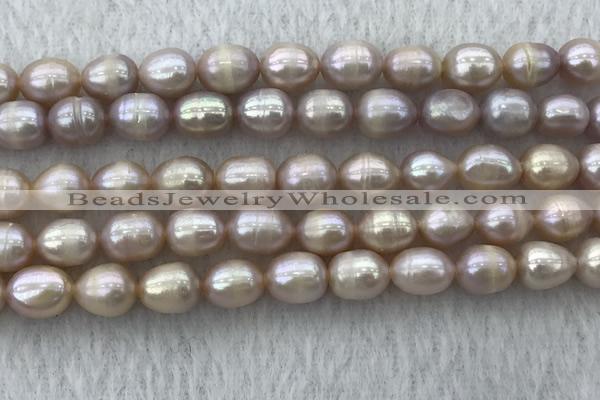 FWP197 15 inches 7mm - 8mm rice purple freshwater pearl strands