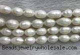 FWP205 15 inches 10mm - 11mm rice white freshwater pearl strands