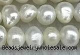 FWP30 14.5 inches 4.5mm potato white freshwater pearl strands