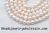 FWP482 14 inches 7mm - 8mm potato white freshwater pearl strands