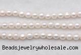 FWP487 14.5 inches 8mm - 9mm potato white freshwater pearl strands