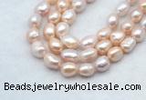 FWP502 14 inches 10mm - 11mm baroque lavender freshwater pearl strands