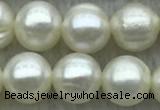 FWP72 15 inches 7mm - 8mm potato white freshwater pearl strands