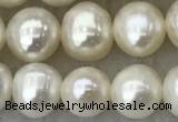 FWP81 15 inches 7mm - 8mm potato white freshwater pearl strands