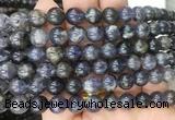 ILBS03 15 inches 10mm round iolite gemstone beads wholesale