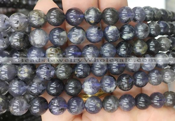 ILBS03 15 inches 10mm round iolite gemstone beads wholesale