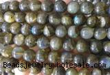 LBBS03 15 inches 10mm round natural labradorite beads wholesale