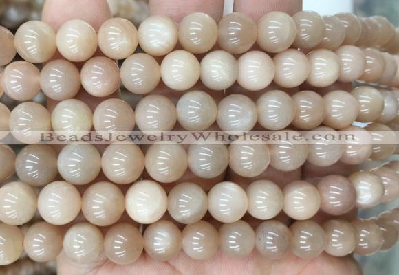 MSBS18 15 inches 10mm round moonstone gemstone beads wholesale