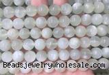 MSBS33 15 inches 10mm round green moonstone gemstone beads wholesale MSBS33 15 inches 10mm round green moonstone gemstone beads wholesale