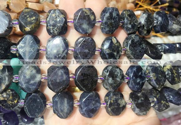 NGBS199 15 inches 10*14mm - 12*16mm faceted freeform iolite beads