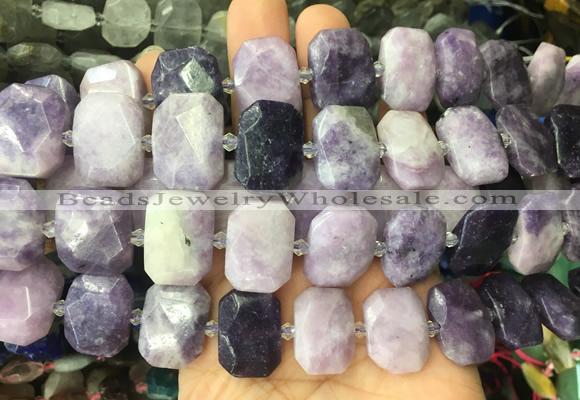 NGBS64 15 inches 13*18mm - 15*20mm faceted freeform lepidolite beads