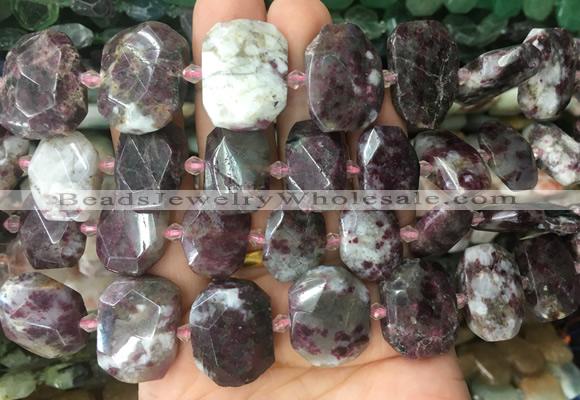 NGBS76 15 inches 13*18mm - 15*20mm faceted freeform Plum blossom tourmaline beads