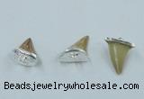 NGP2496 15*18mm - 18*20mm shark teeth pendants wholesale