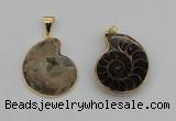 NGP4069 25*30mm – 30*35mm carved ammonite pendants wholesale