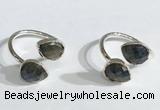 NGR1091 8*10mm faceted flat droplet labradorite rings wholesale