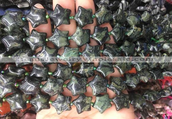 RGBS30 15 inches 16mm star kambaba jasper gemstone beads