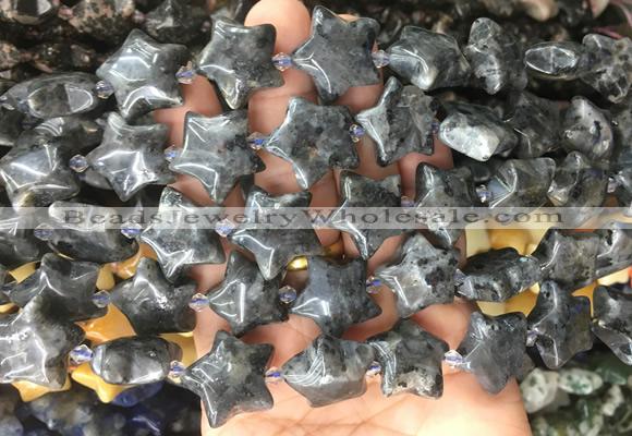 RGBS46 15 inches 20mm star black labradorite gemstone beads wholesale