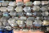 TBBS47 15 inches 12*16mm faceted tube labradorite beads wholesale