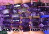 TBBS76 15 inches 8*12mm faceted tube dogtooth amethyst gemstone beads