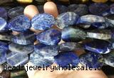 TWBS45 15 inches 18*25mm twist oval sodalite beads wholesale